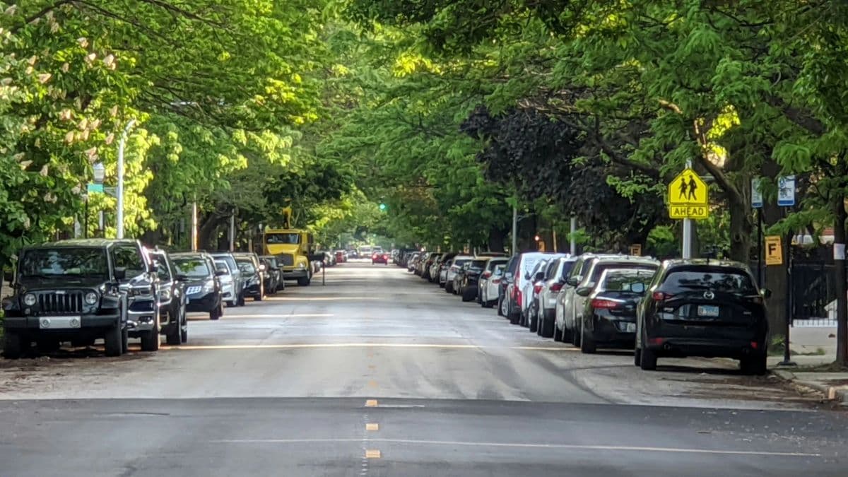 Tree-lined street with cars parked along both curbs