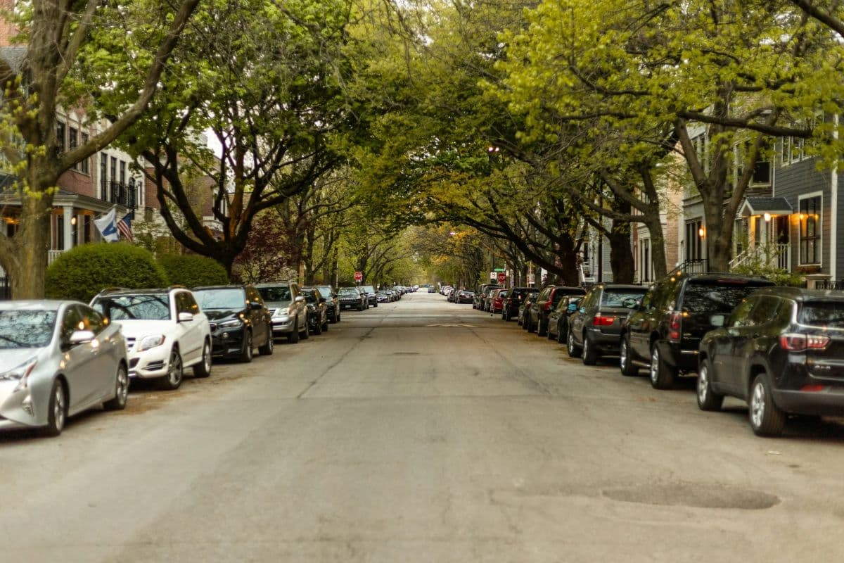 Tree-lined residential street with cars parked along the curb