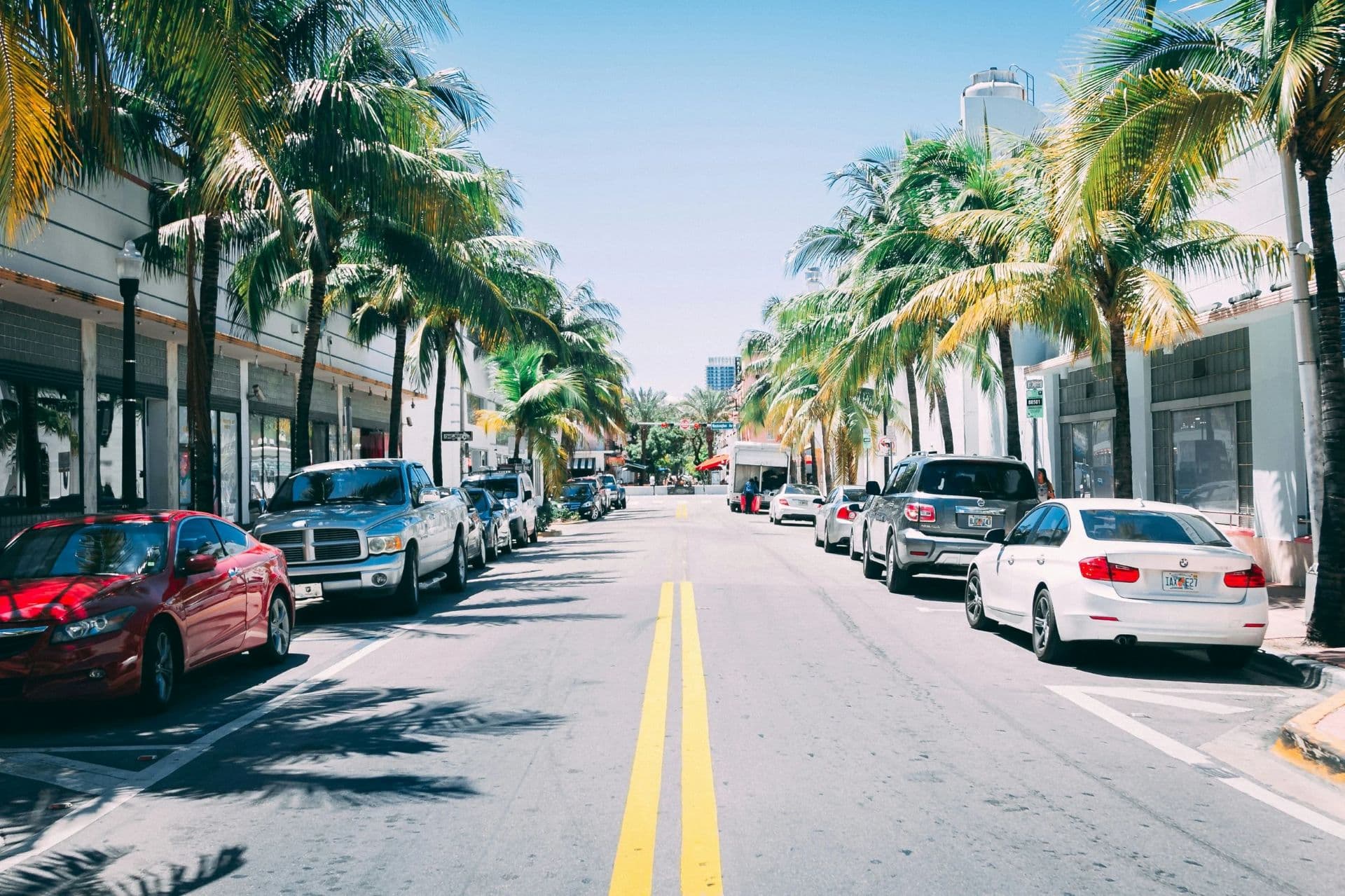 Palm-lined city street with parallel parked cars